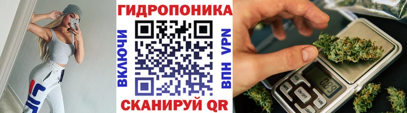 купить   Суворов  Бошки марихуана MAZAR 